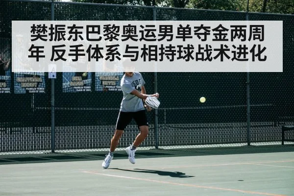 樊振东巴黎奥运男单夺金两周年 反手体系与相持球战术进化